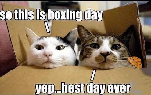 boxing day是哪一天?(官网有什么折扣)