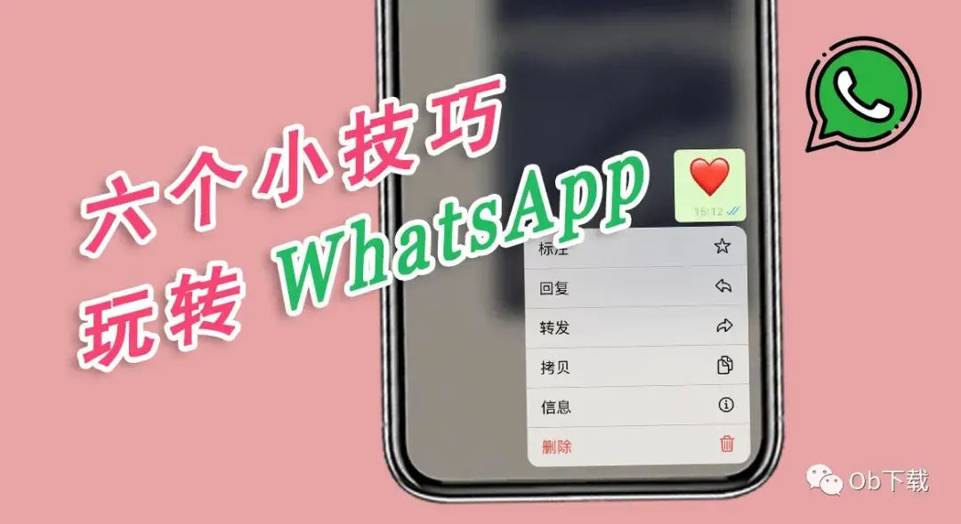 whatsapp网页版登陆使用「附6个whatsapp使用小技巧」